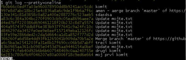 git log pretty oneline