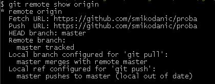 git remote show origin